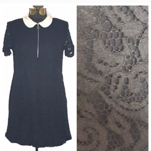 Zara Peter Pan collar black lace mini dress
